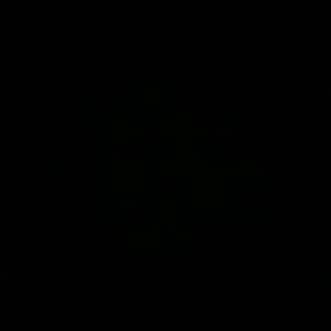 Meet your Posher, Destinee